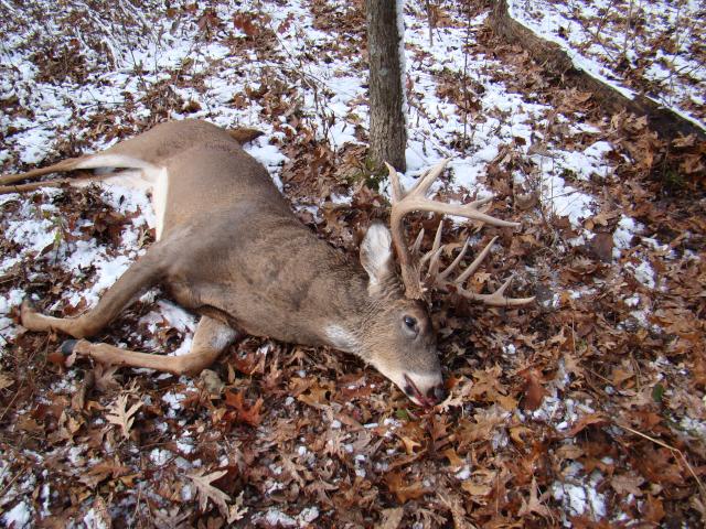 Monster Down!
