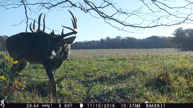 2016 Season
