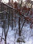2013 Hunting Season Outdoor Partners Awesome Season!