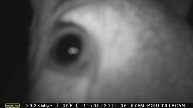 EYE IS ON YOU!!