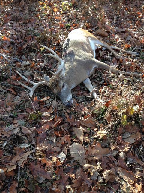 Hunter Grab Photo OF His Buck