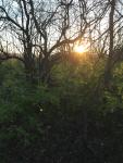 Sunset On Our 2014 Season