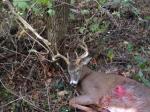 First Hunter In Arrows Buck Season Rolling To Record Harvest