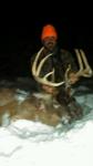 Massive Monster Buck Down In The Snow!